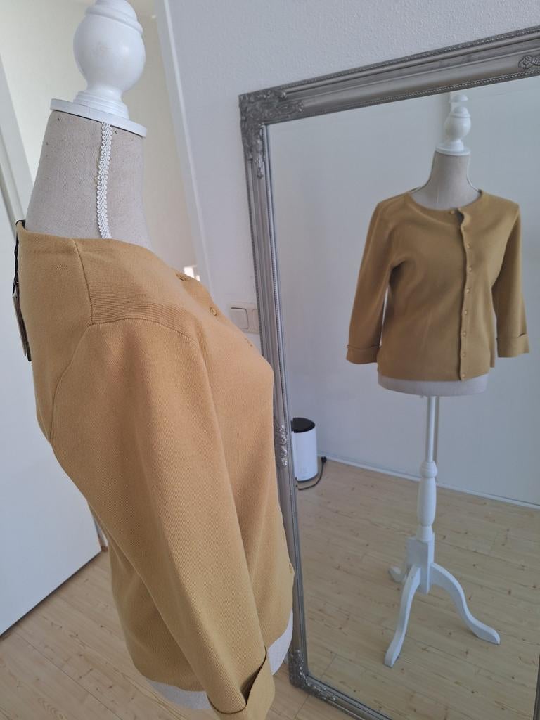 Purdey, Purdey, Ophalen of Verzenden, Nieuw, Maat 38/40 (M)
