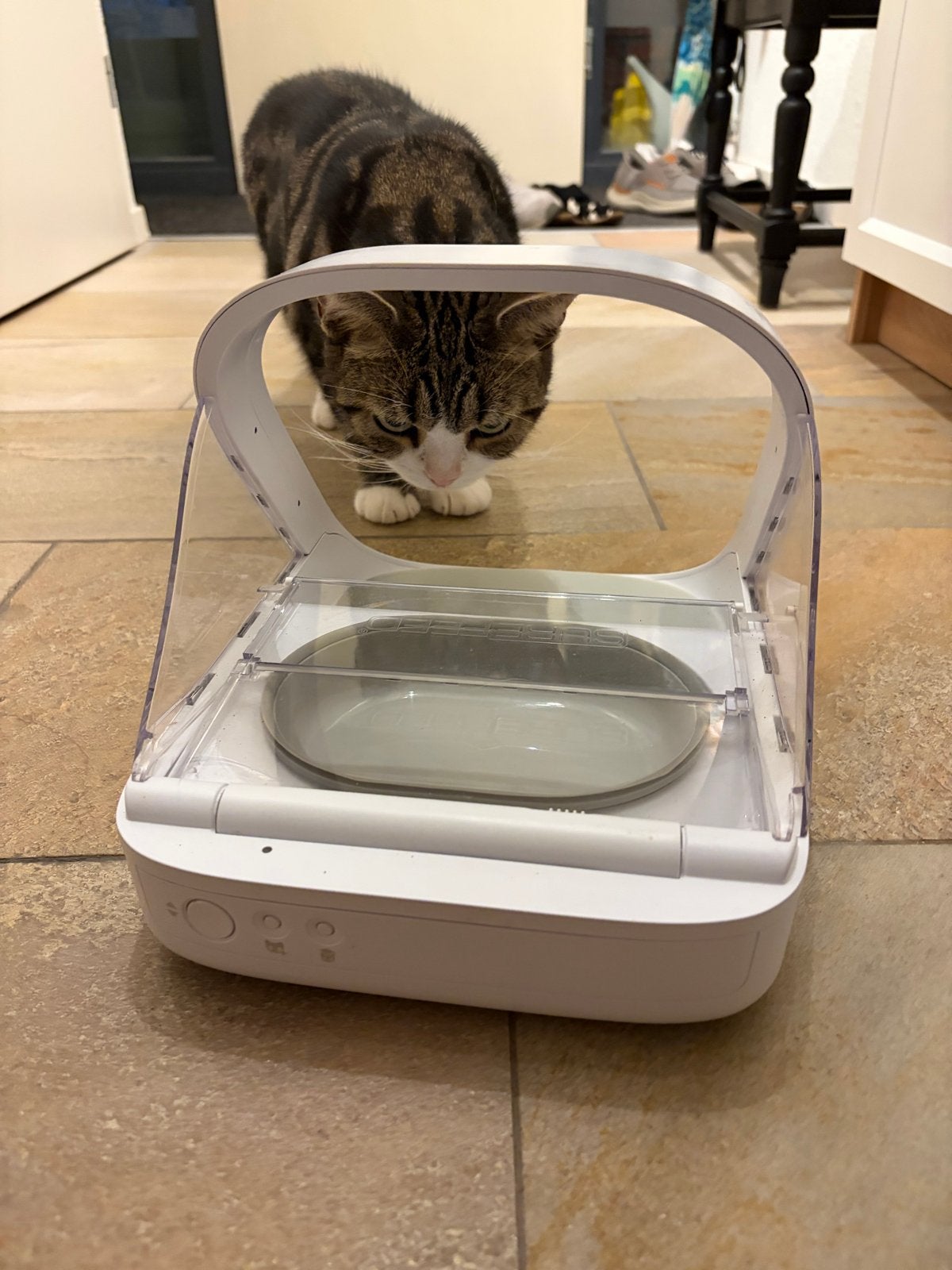 Sure Feed microchip pet feeder, Dieren en Toebehoren, Kattenvoerbakken en Drinkbakken, Ophalen, Nieuw