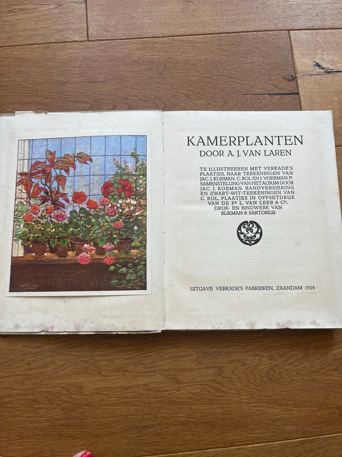 Kamerplanten door A.J. van Laren - Verkade Album 1928, Ophalen of Verzenden, Gelezen, Bloemen, Planten en Bomen