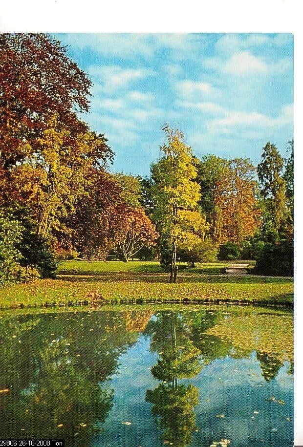 Ansichtkaart	Rotterdam	Trompenburg Arboretum	herfst, Verzenden, 1980 tot heden, Ongelopen, Zuid-Holland