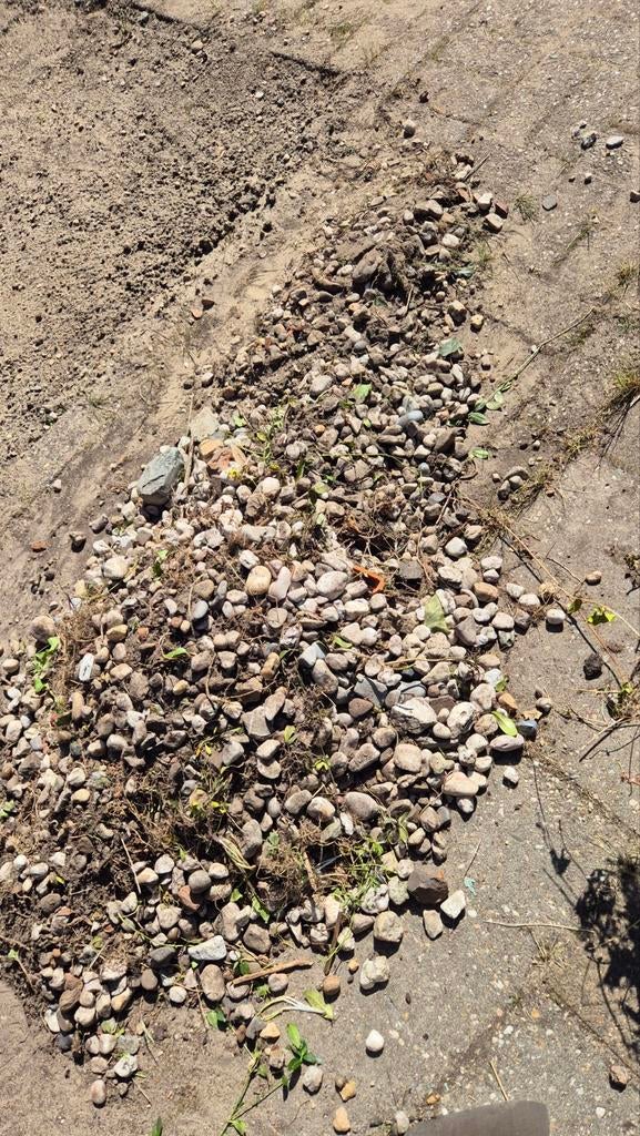 Gratis steentjes tuin, Tuin en Terras, Grind, Keien en Split, Ophalen, Gebruikt, Overige typen