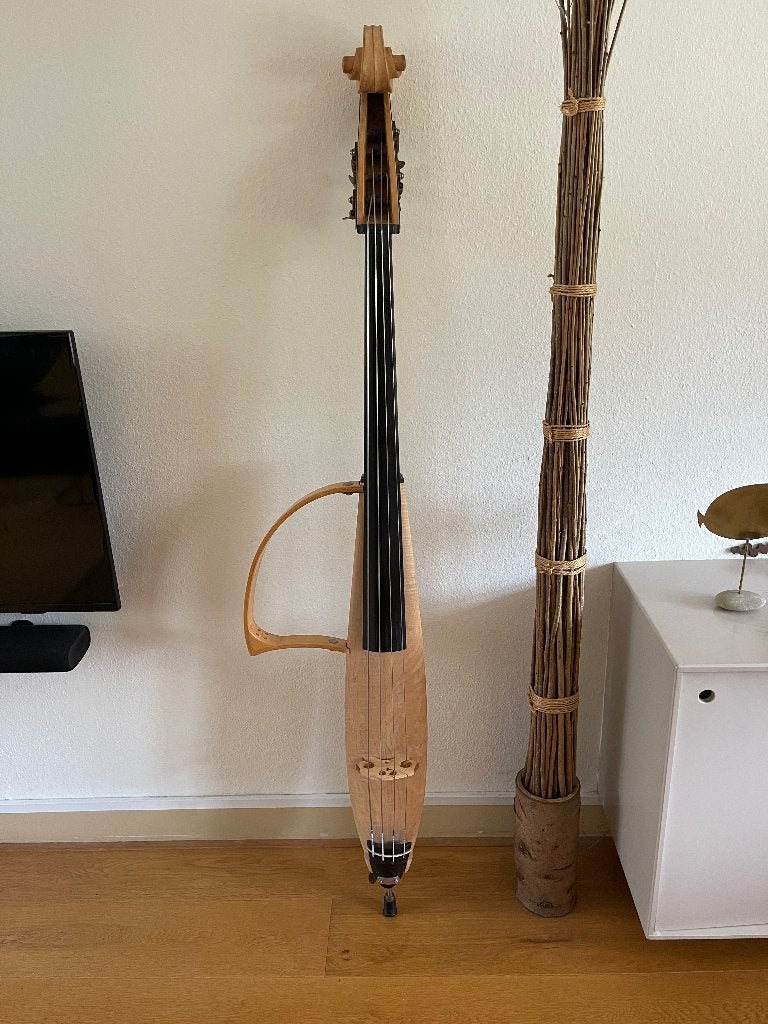 Silent contrabas, Muziek en Instrumenten, Ophalen, Gebruikt, 3/4-contrabas, Met koffer