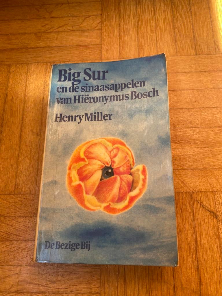 Henry Miller - Big Sur …., Ophalen of Verzenden, Gelezen, Amerika