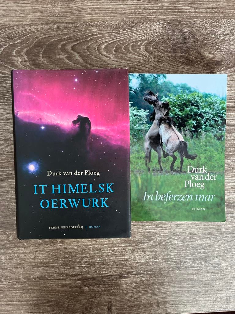 2 Friese romans van Durk van der Ploeg: It Himelsk Oerwurk, Boeken, Ophalen of Verzenden, Zo goed als nieuw, Nederland