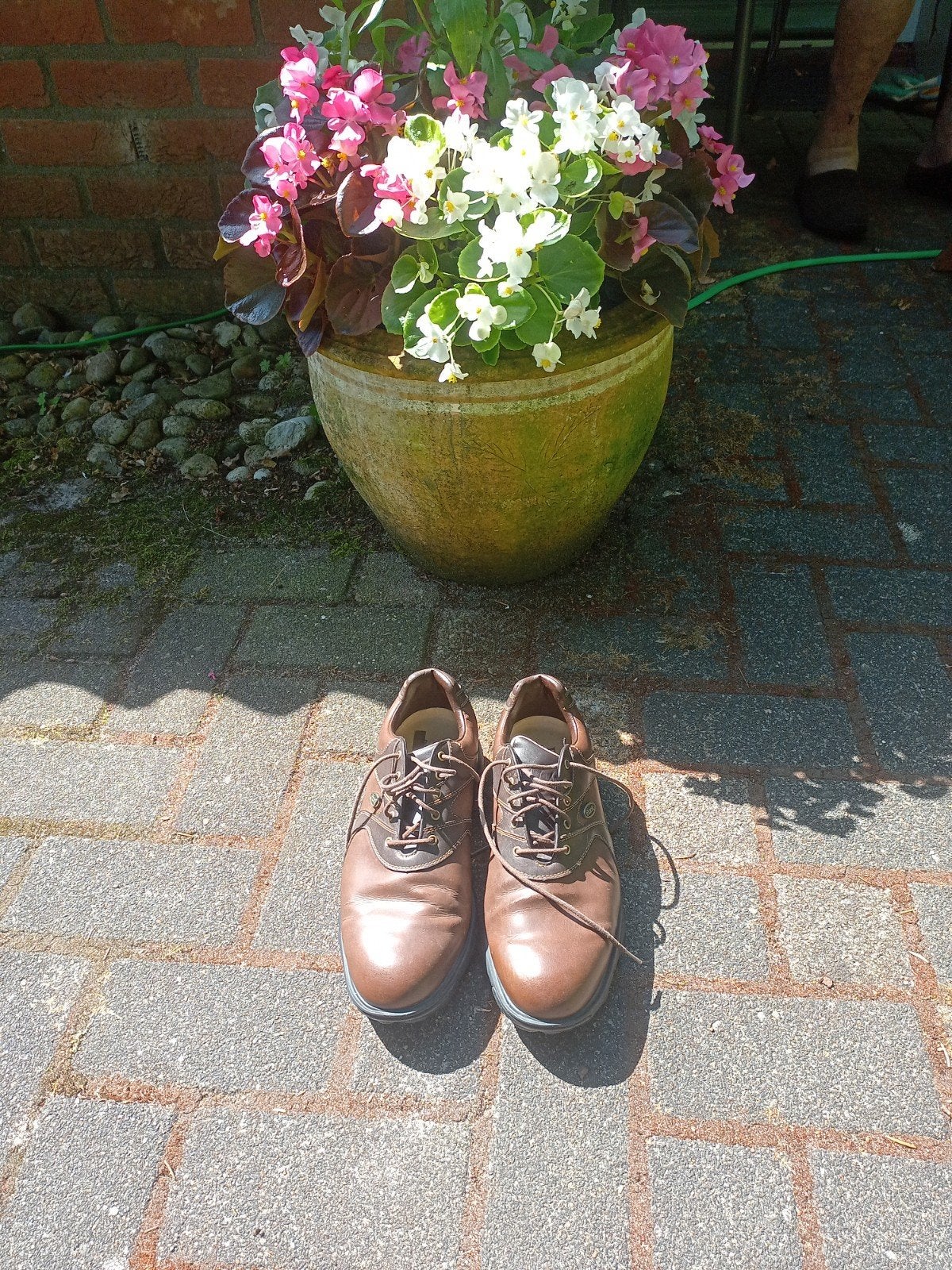 Etonic Golfschoenen - Bruin, Comfortabel en Duurzaam, Sport en Fitness, Golf, Ophalen of Verzenden, Gebruikt, Schoenen, Overige merken