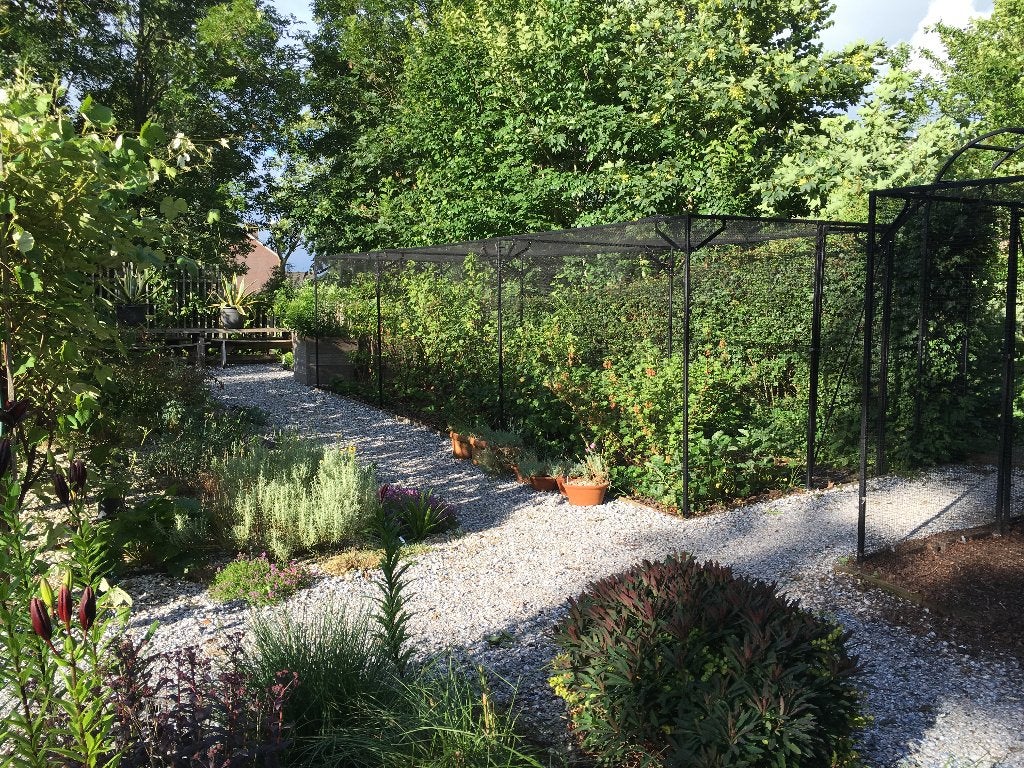 Volière of Fruit Cage, Dieren en Toebehoren, Ophalen, Gebruikt, Metaal, Volière