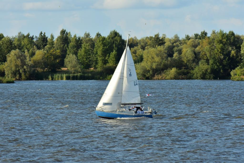 Westerly J24 1978, Watersport en Boten, Gebruikt, 6 tot 9 meter, Ophalen, Wedstrijdjacht of Racer