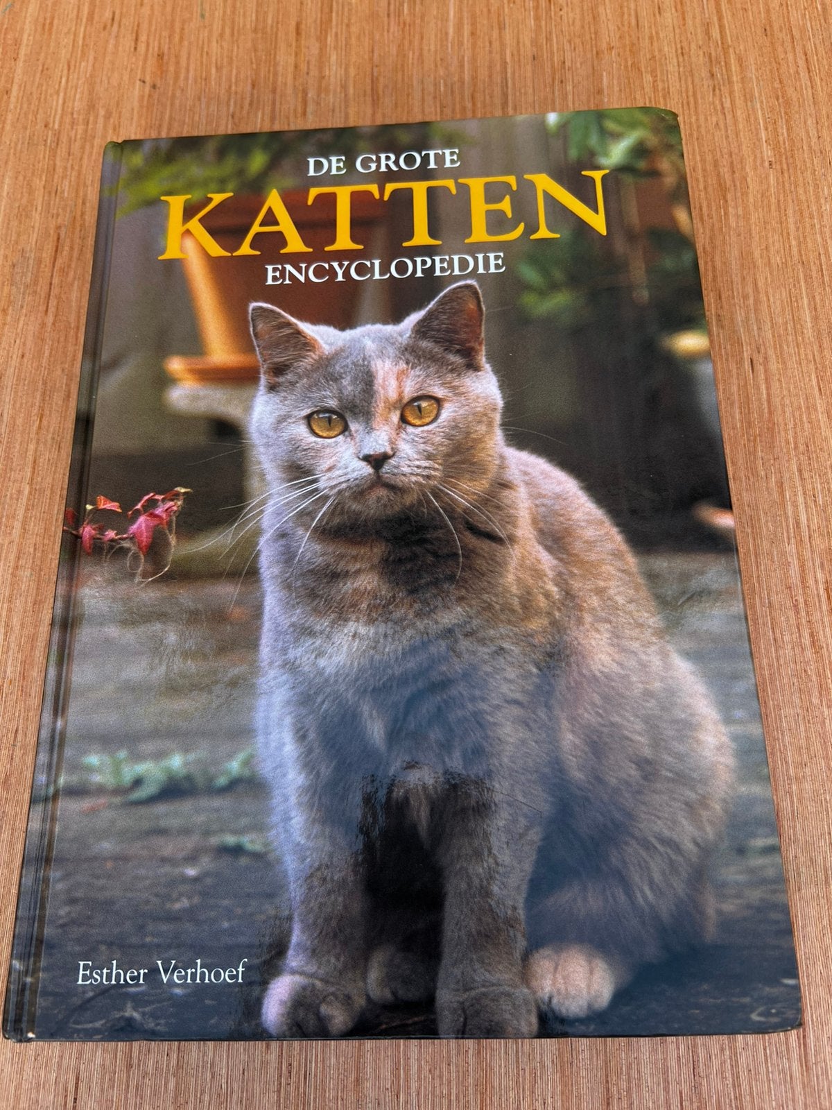 De Grote Kattenencyclopedie – Esther Verhoef, Boeken, Ophalen of Verzenden, Zo goed als nieuw, Katten