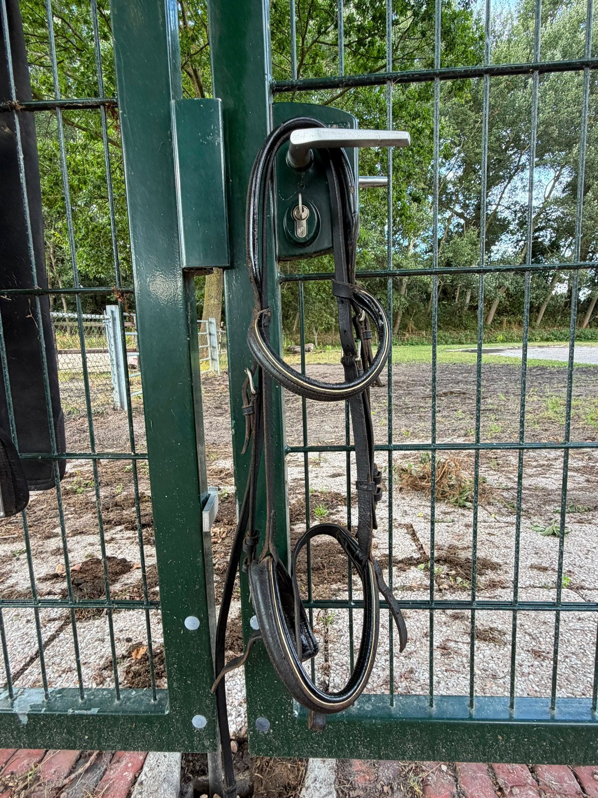 hoofdstel met bit, Hoofdstel, Inclusief bit, Springen, Verzenden