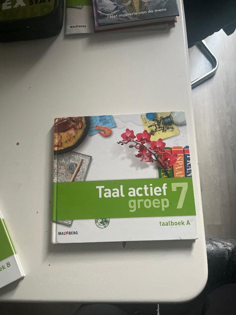 Taal actief groep 7 taaltoets a en b, Ophalen, Zo goed als nieuw, Overige niveaus, Nederlands