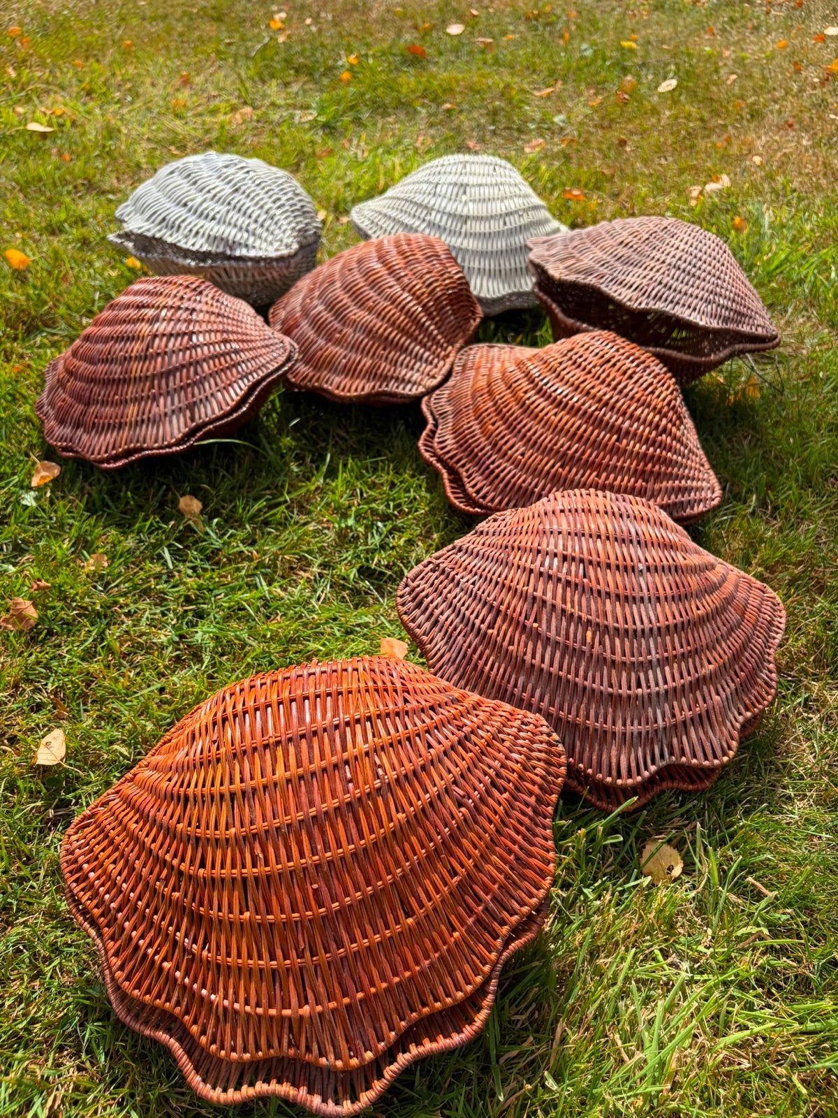 Rotan schelpen bakjes, Ophalen, Gebruikt, Meerkleurig, Boho