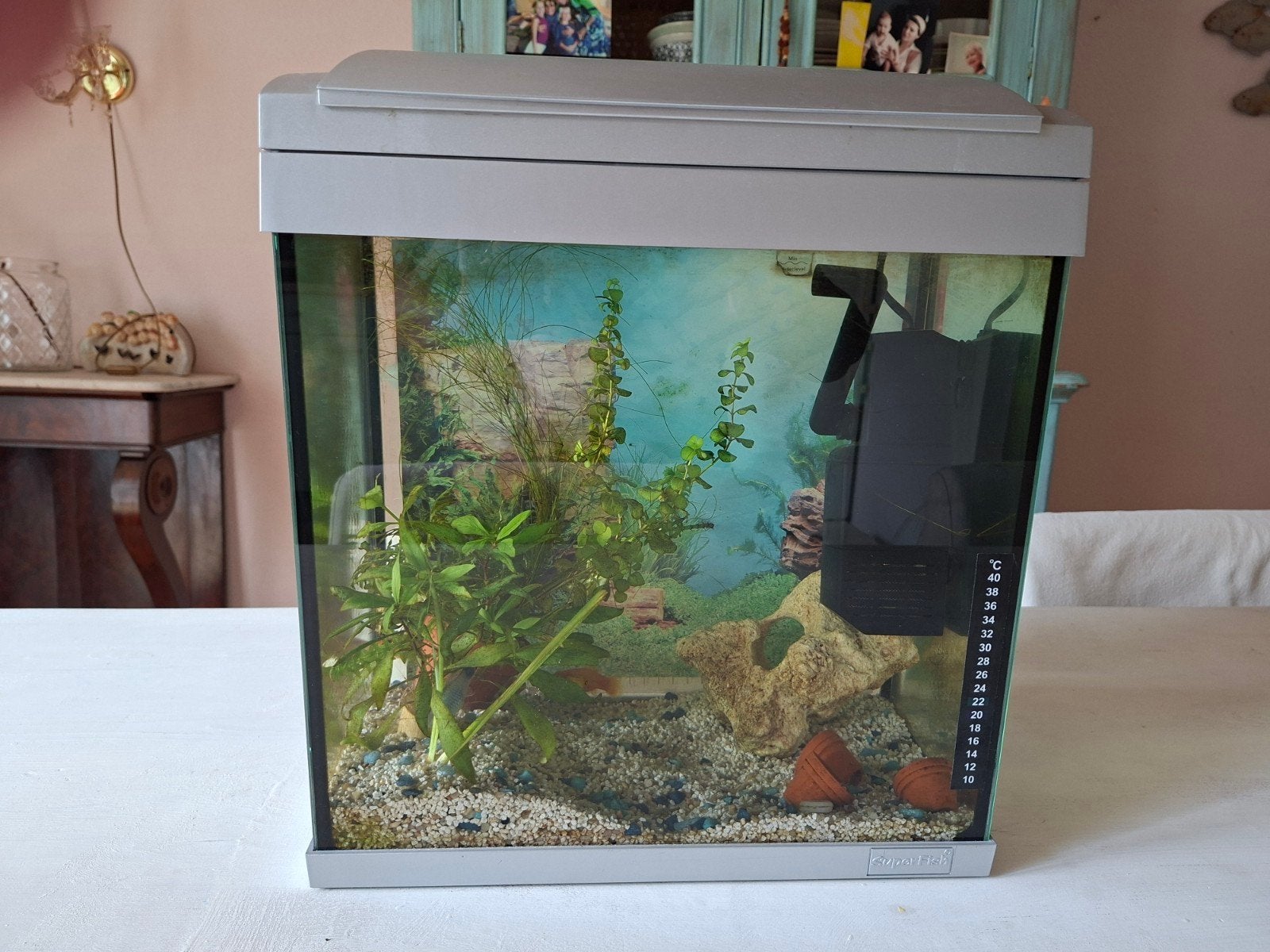 Aquarium 35x22x33, Dieren en Toebehoren, Vissen | Aquaria en Toebehoren, Ophalen of Verzenden, Leeg aquarium