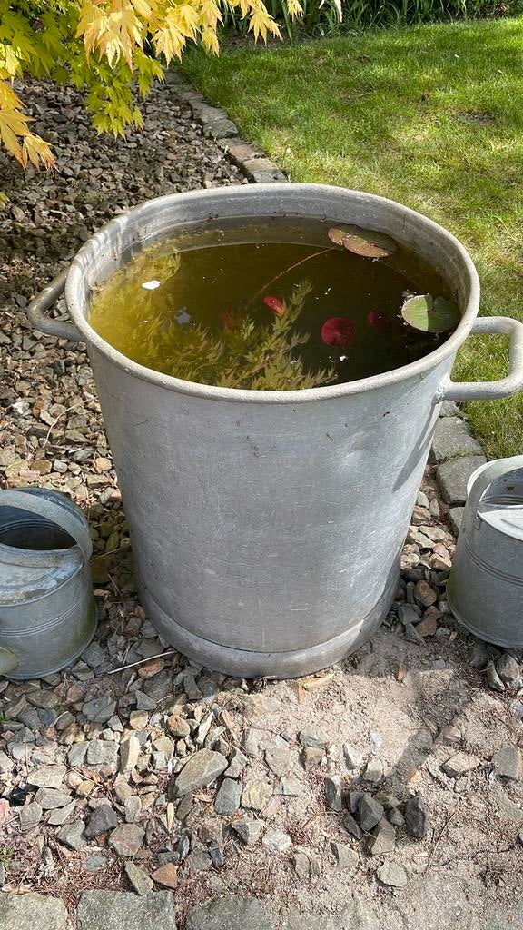 Aluminium ton als minivijver met waterlelie, Tuin en Terras, Ophalen, Gebruikt, Minder dan 60 cm, Rond