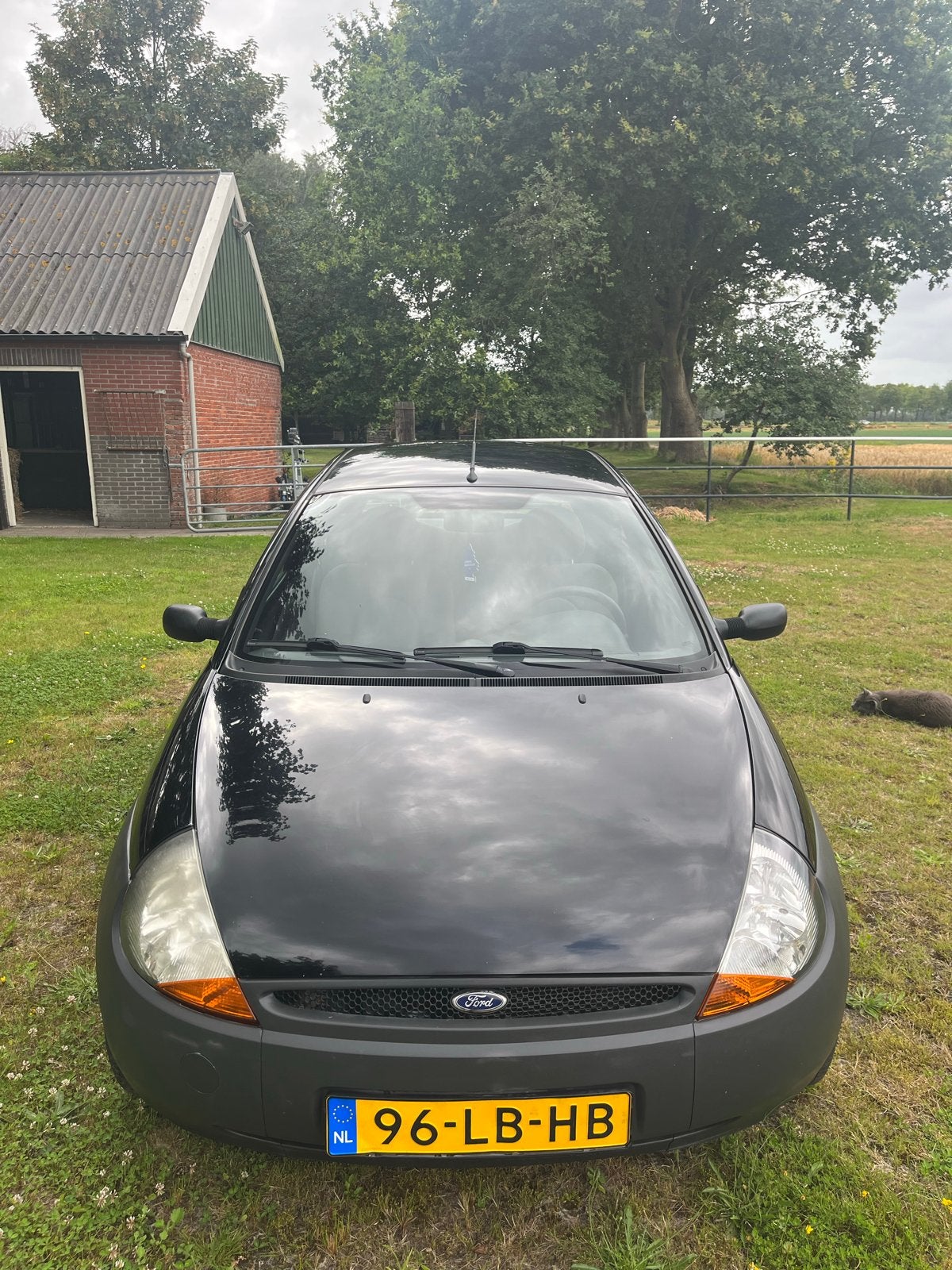 Ford Ka 1.3 I 44KW 2002 Zwart, Auto's, Voorwielaandrijving, 1299 cc, 15 km/l, 31 €/maand
