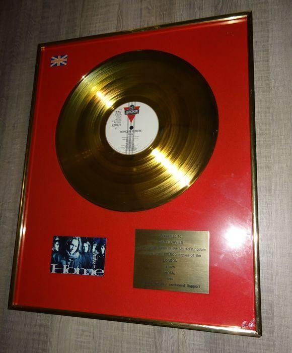 Hothouse Flowers Gold Home Record Award Disc Presentation, Ophalen of Verzenden, Gebruikt, Poster, Artwork of Schilderij