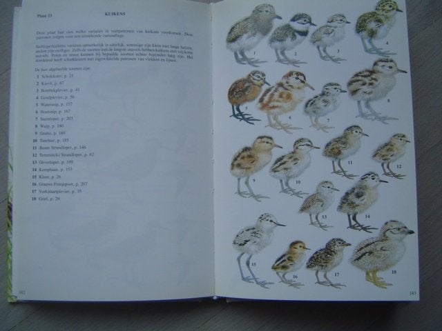 Wad- en weidevogels vogelgids, Boeken, Verzenden, Zo goed als nieuw, Vogels