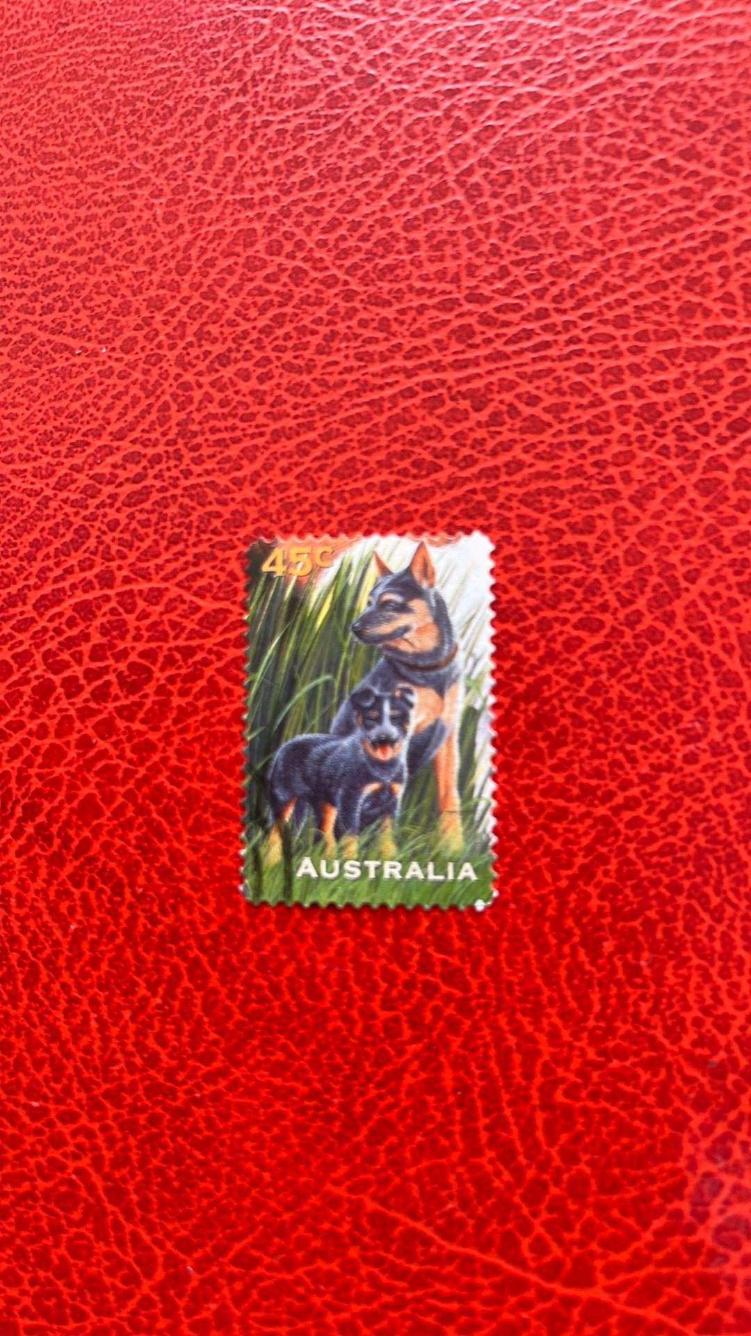 Australie 2 honden 45 c, Verzenden, Gestempeld