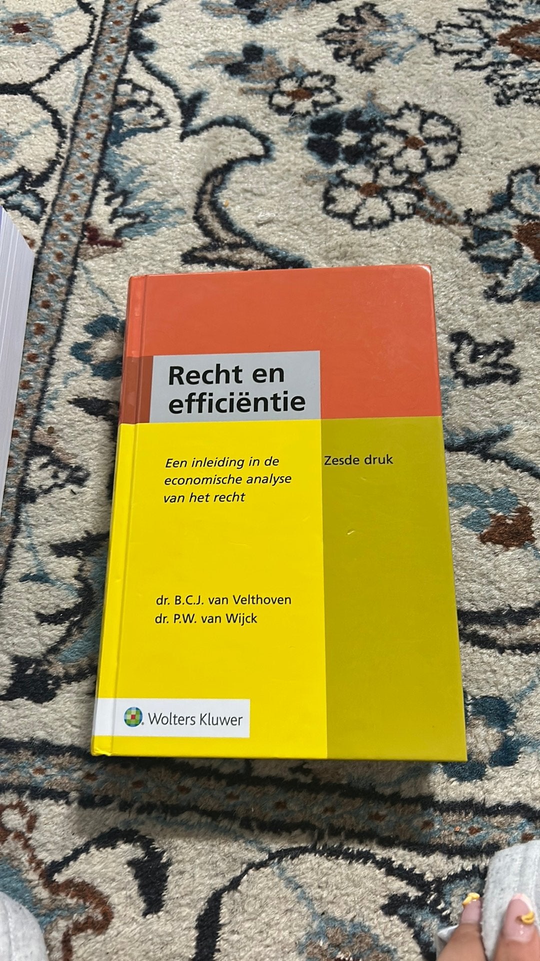 Recht en efficiëntie, Boeken, Ophalen of Verzenden, Zo goed als nieuw, Sociale wetenschap