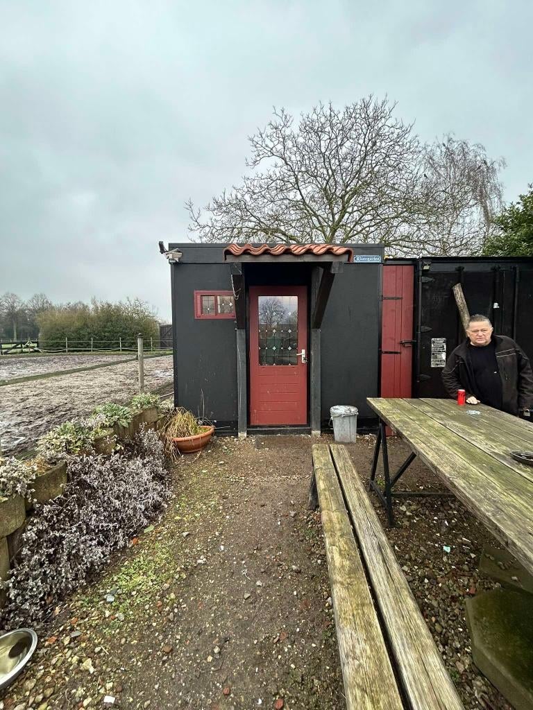 ALLES MOET WEGVAN ONS PAARDEN BEDRIJF, Dieren en Toebehoren, Paarden, Meerdere dieren, 3 tot 6 jaar