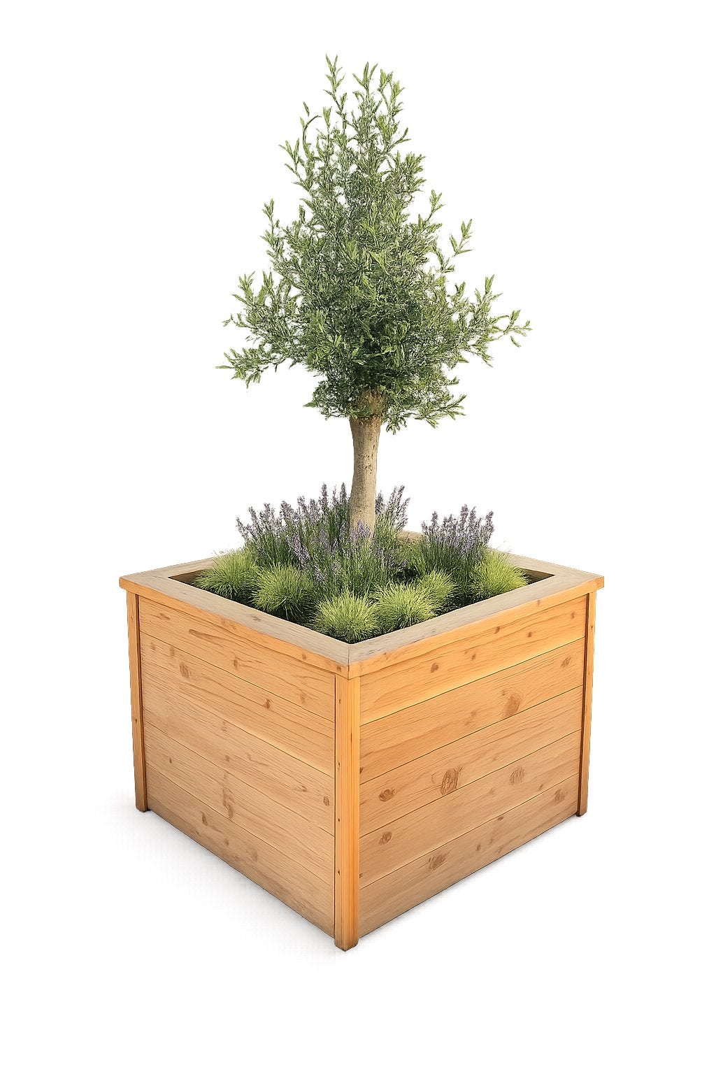 Exclusieve plantenbak met olijfboom | All-in geleverd, Tuin en Terras, Bloembakken en Plantenbakken, Ophalen, 100 cm of meer, Vierkant