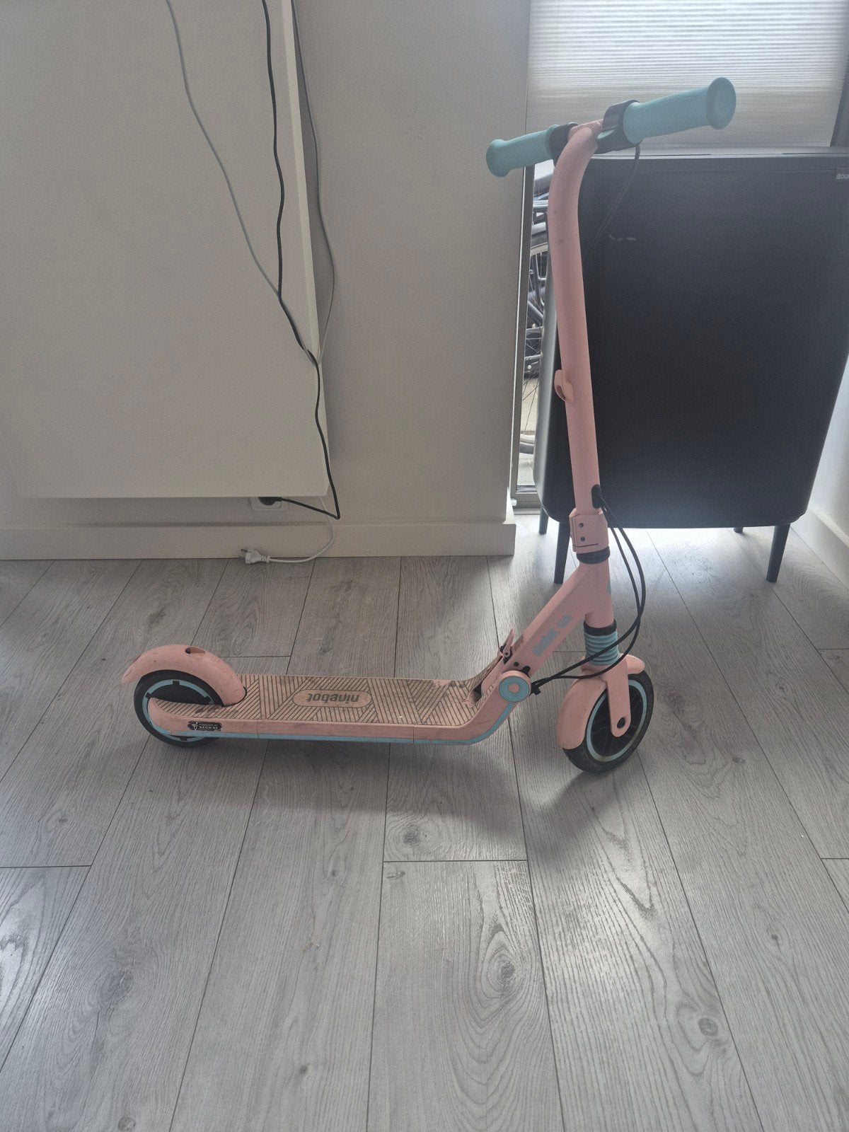 Ninebot Kickscooter E22E - Roze elektrische step, Fietsen en Brommers, Steps, Ophalen of Verzenden, Gebruikt, Elektrische step (E-scooter)