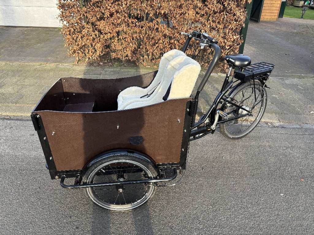 Elektrische bakfiets, Fietsen en Brommers, Fietsen | Bakfietsen, 4 kinderen of meer, Gebruikt, Velgrem, Huif