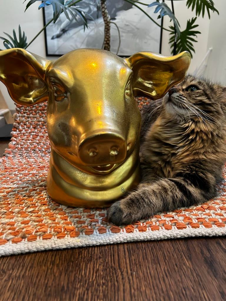 Gouden spaarvarken - Uniek decoratief item van Pols Potten, Huis en Inrichting, Ophalen, Zo goed als nieuw, Overige kleuren, Minder dan 50 cm