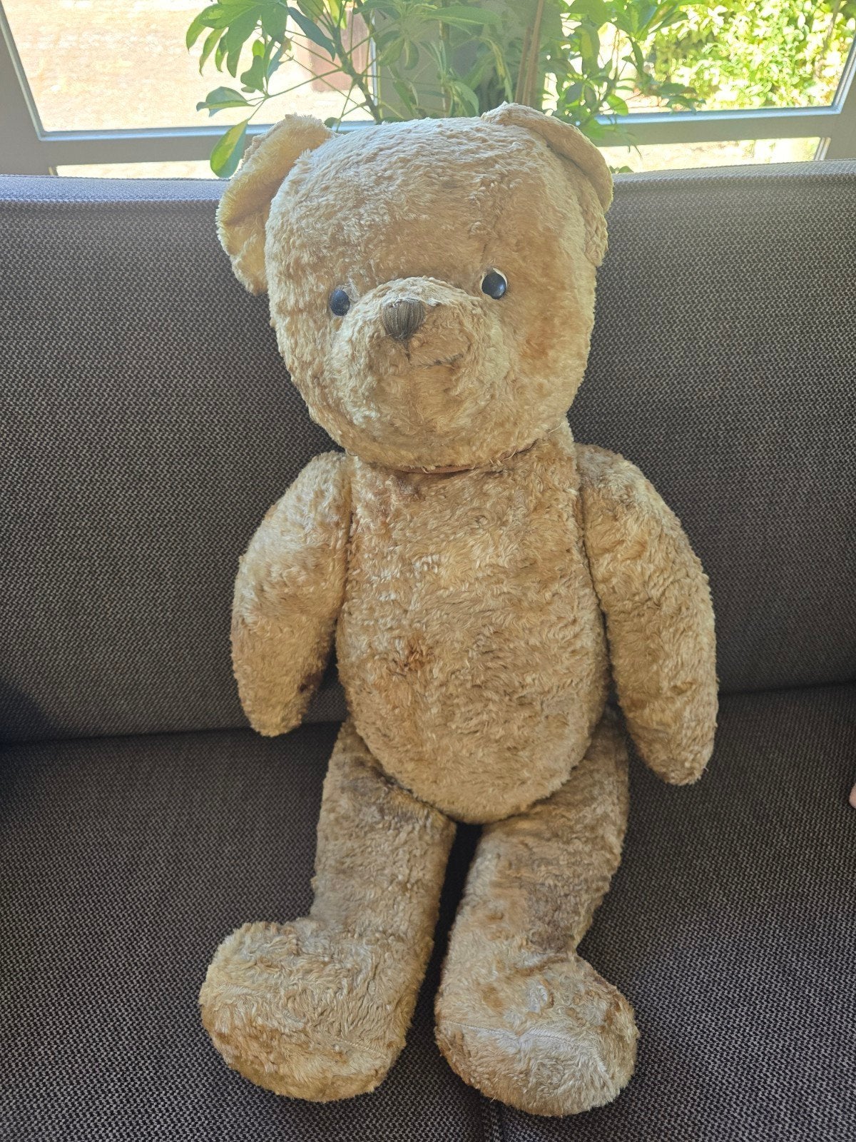 oude beer, Verzamelen, Beren en Cherished Teddies, Ophalen of Verzenden, Gebruikt, Stoffen beer, Overige merken