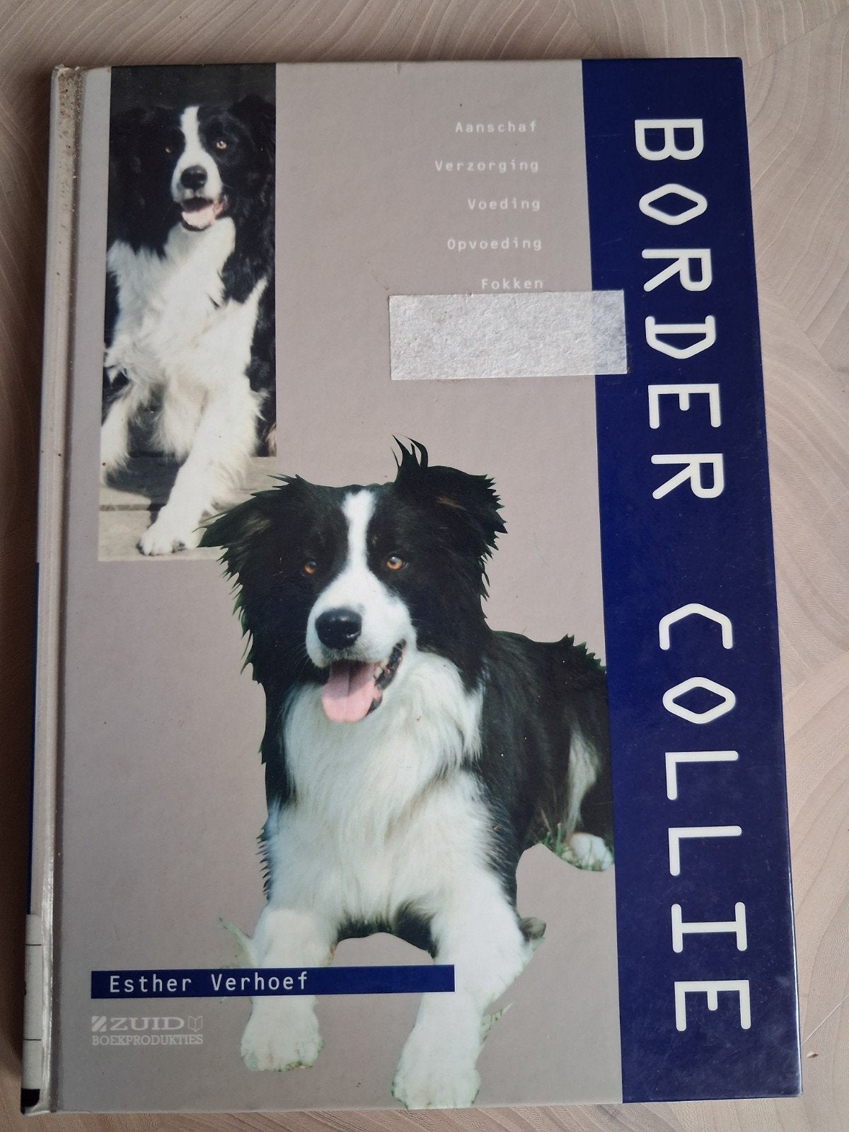 Border Collie Boek - Esther Verhoef (2002), Ophalen, Gelezen, Honden, Esther Verhoef