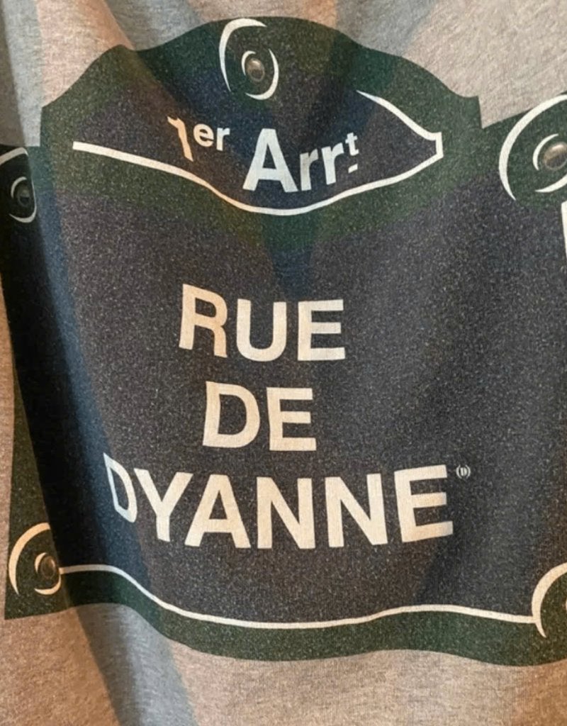Grijze trui met 'Rue de Dyanne' print (Dyanne Beekman), Maat 42/44 (L), Ophalen of Verzenden, Zo goed als nieuw, Grijs