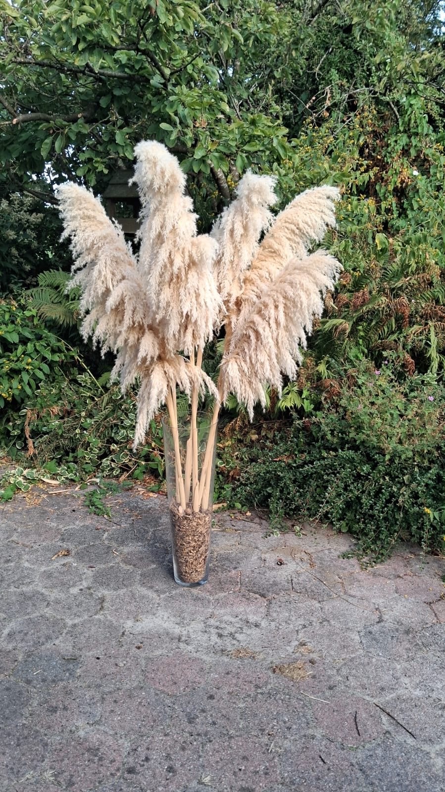 Grote pluimen in glazen vaas - Pampasgras, Ophalen, Nieuw