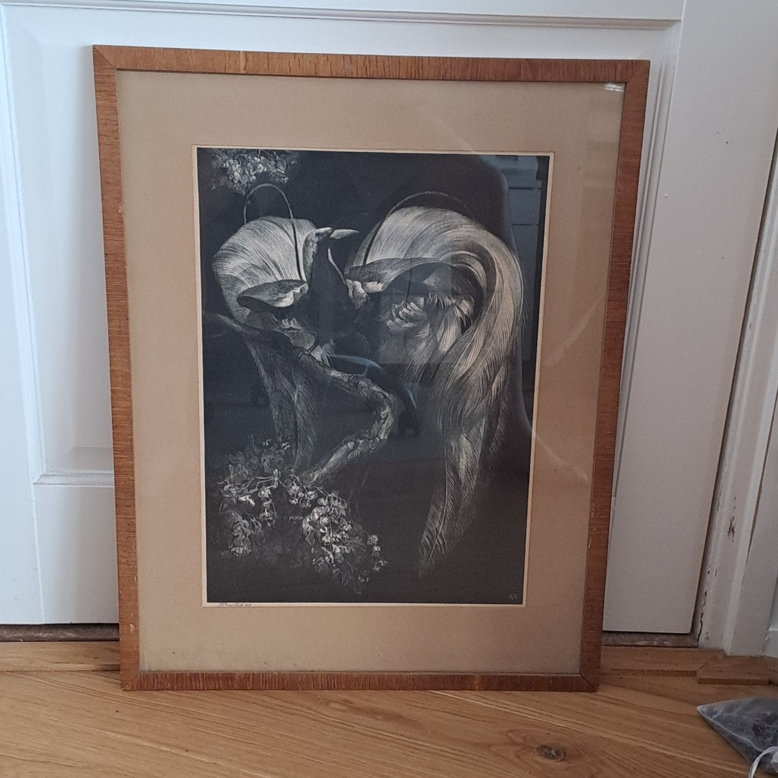 paradijsvogel Litho A.J. van 't Hoff, Ophalen