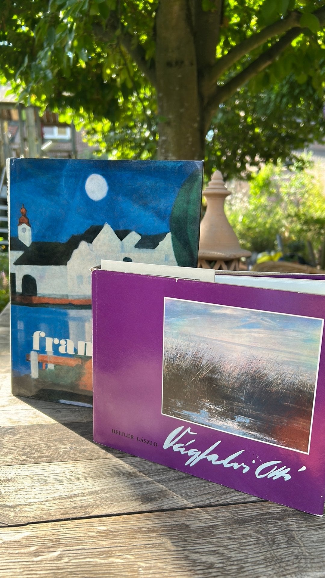 2 kunstboeken over schilders Frantisek Volf Vagfalvi Otto, Ophalen of Verzenden, Gelezen, Schilder- en Tekenkunst