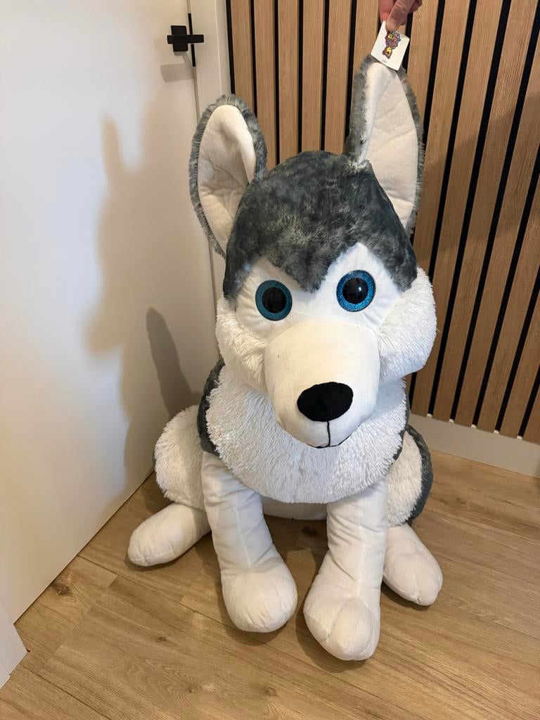 Grote nieuwe knuffelhond - Husky, Ophalen of Verzenden, Nieuw, Hond