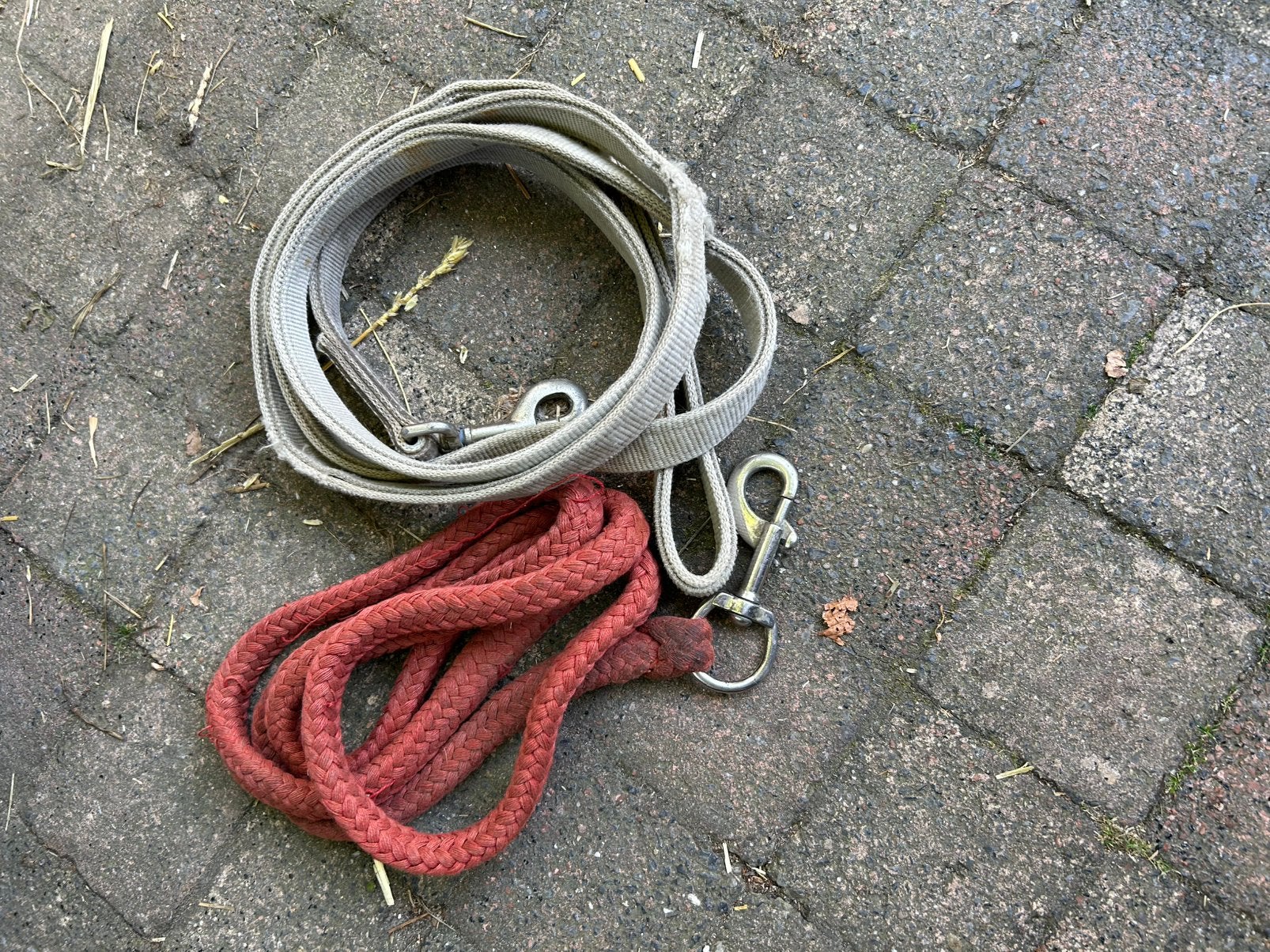 Halster full + 2x halstertouw, Ophalen of Verzenden, Zo goed als nieuw, Halster, Full