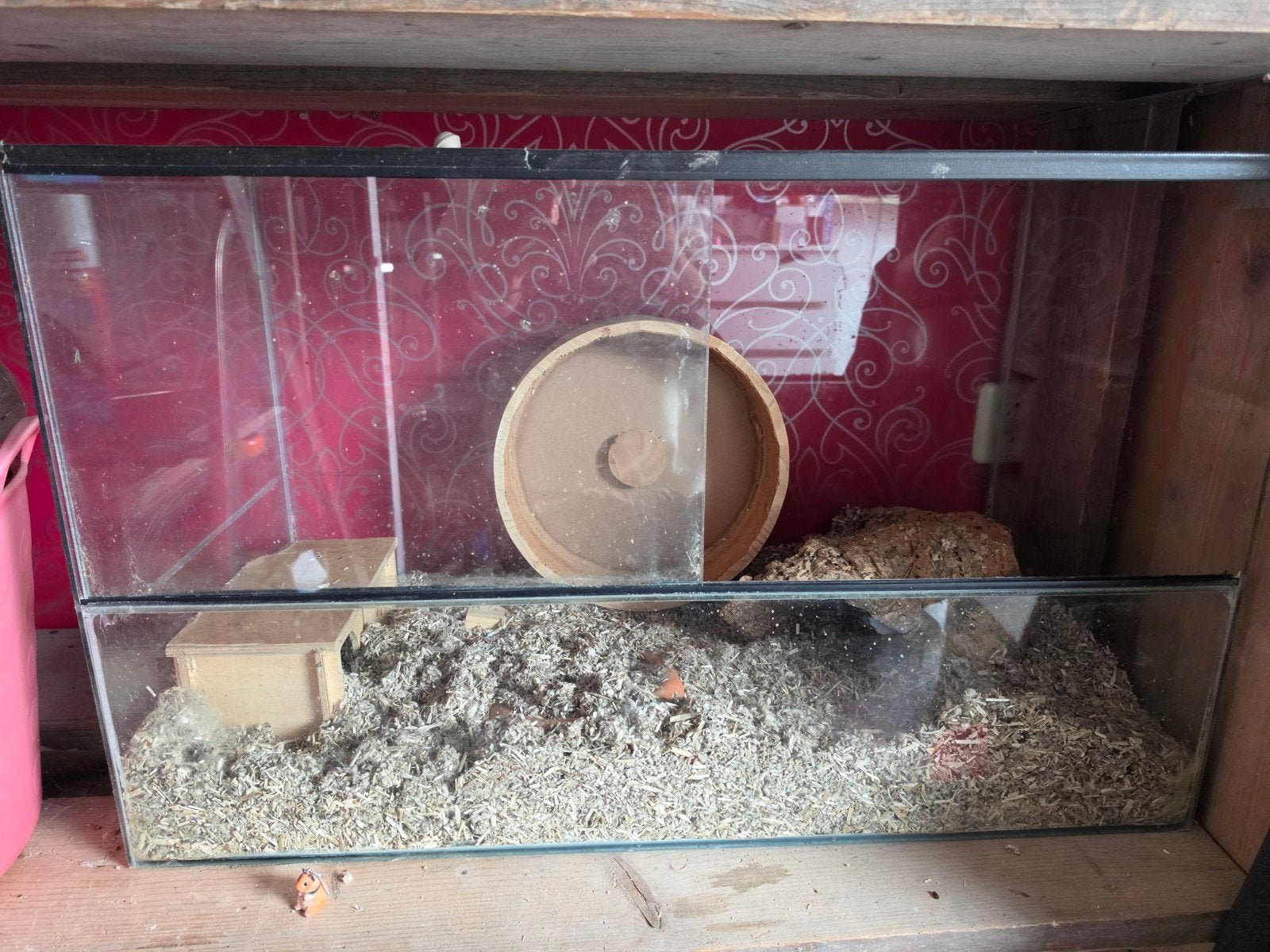 Knaagdierterrarium volglas 80x40x40, Dieren en Toebehoren, Gebruikt, Hok, Hamster, 75 tot 110 cm