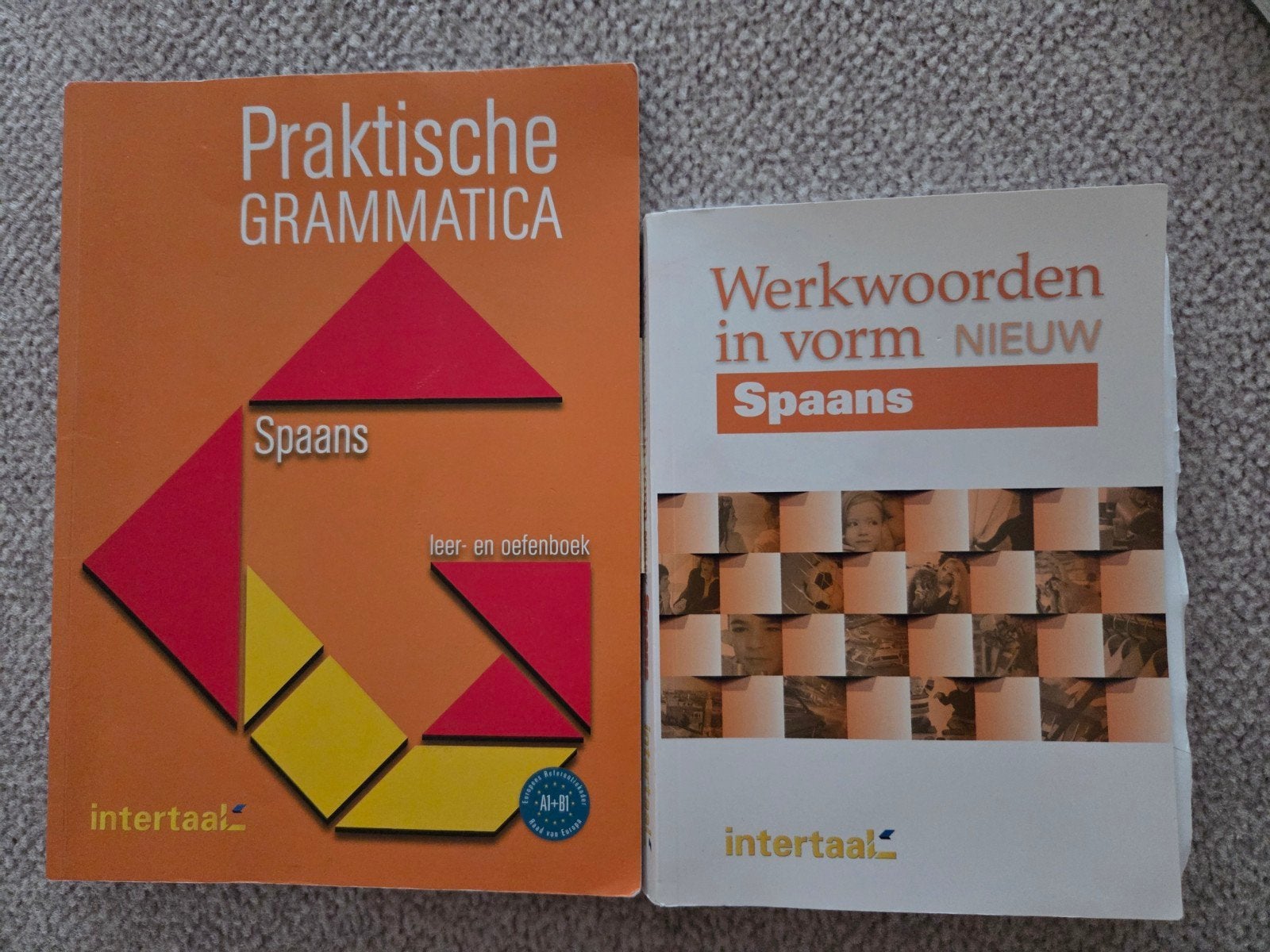 Spaanse grammatica en werkwoorden boeken (Intertaal), Ophalen of Verzenden, Gelezen, Intertaal, Non-fictie