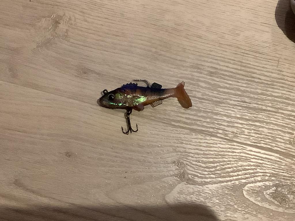 Jaxon Magic Fish TX-E 6 cm 7 gr kunstaas, Verzenden, Nieuw, Kunstaas