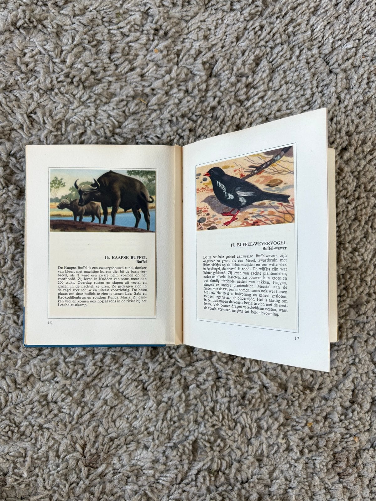De Kruger-Wildtuin deel 1 & 2 – Jan P. Strijbos – Complete s, Ophalen of Verzenden, Gelezen, Natuur algemeen
