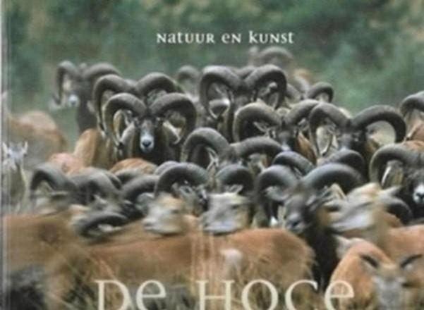 Natuur en kunst De hoge veluwe, Boeken, Ophalen of Verzenden, Zo goed als nieuw, Natuur algemeen