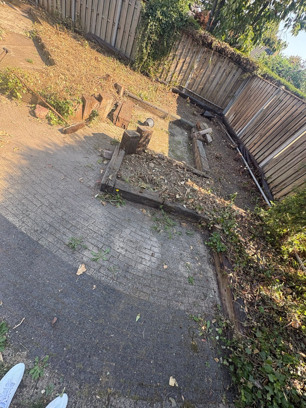 36-40 meter bielzen gratis af te halen, Ophalen, Gebruikt, Biels, 200 cm of meer