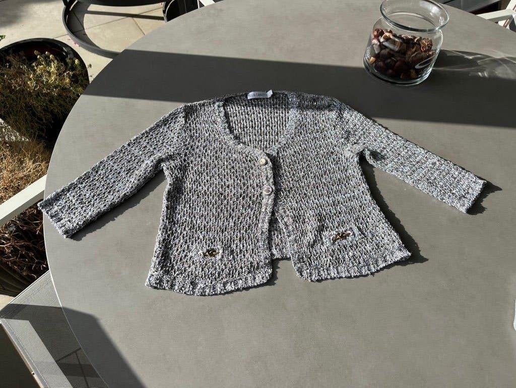 Zilvergrijs Elisa Cavaletti glittervestje, maat S/M, Kleding | Dames, Verzenden, Zo goed als nieuw, Elisa Cavaletti, Maat 36 (S)