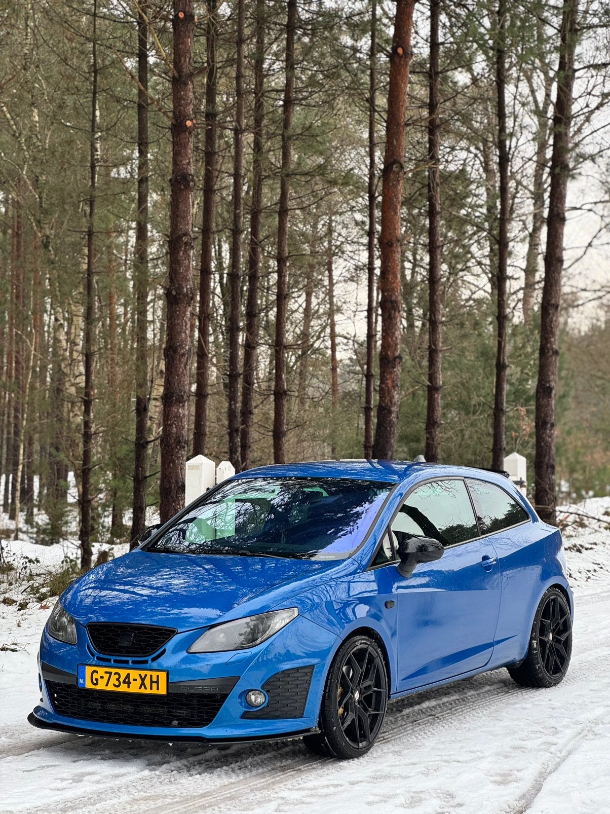Seat Ibiza cupra bocanegra speedblauw, Stof, Zwart, 4 cilinders, Ibiza