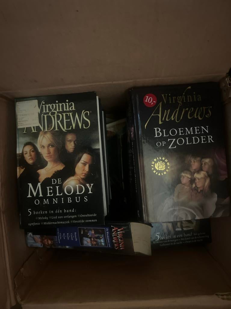 Diverse boeken van Virginia Andrews: Melody Omnibus & Bloeme, Ophalen of Verzenden, Gelezen