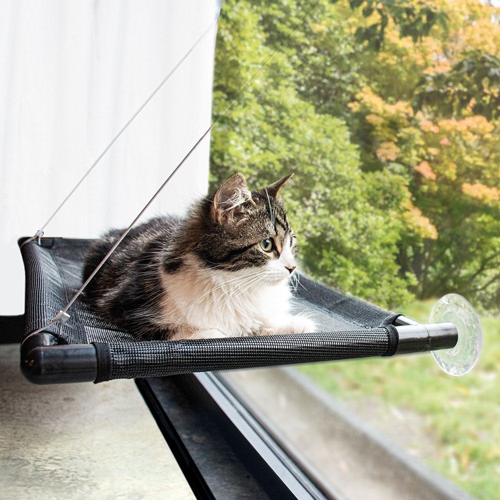 te koop kattenhangmat voor op het  raam, Dieren en Toebehoren, Ophalen, Zo goed als nieuw