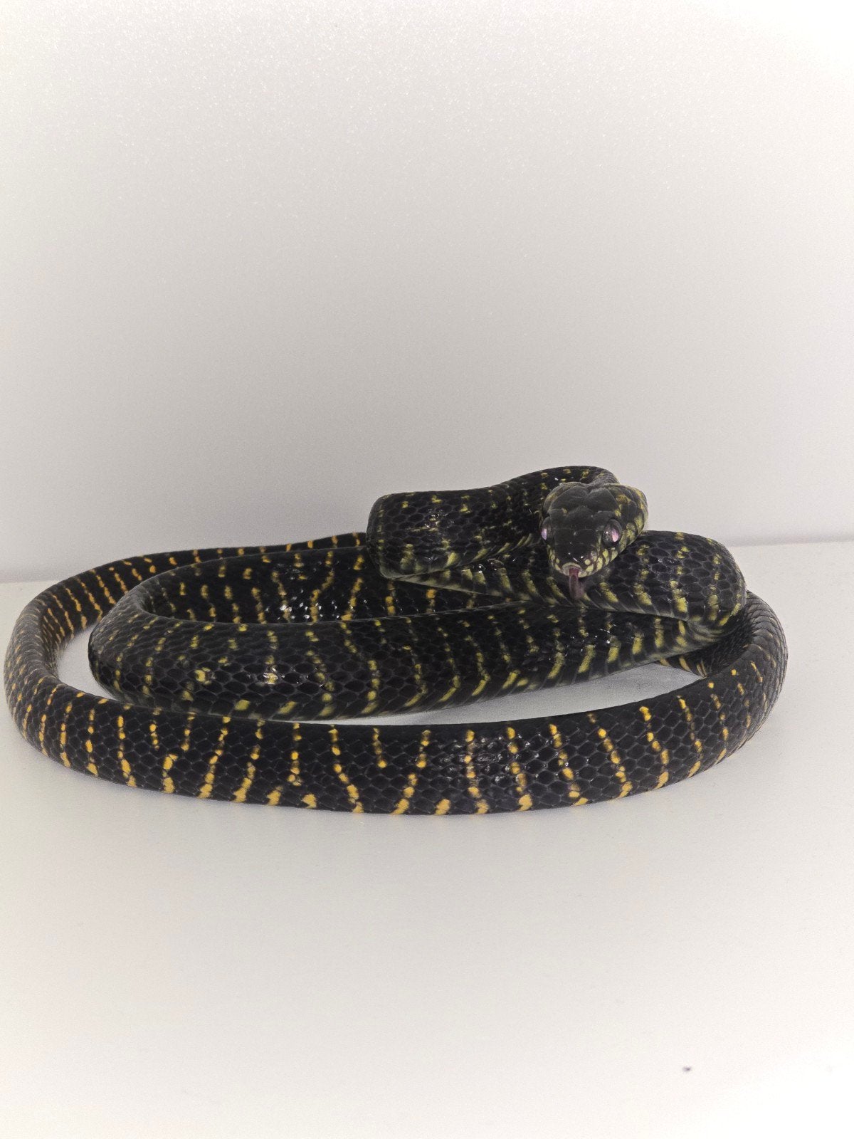 boiga dendrophila gemmicinta, Ophalen