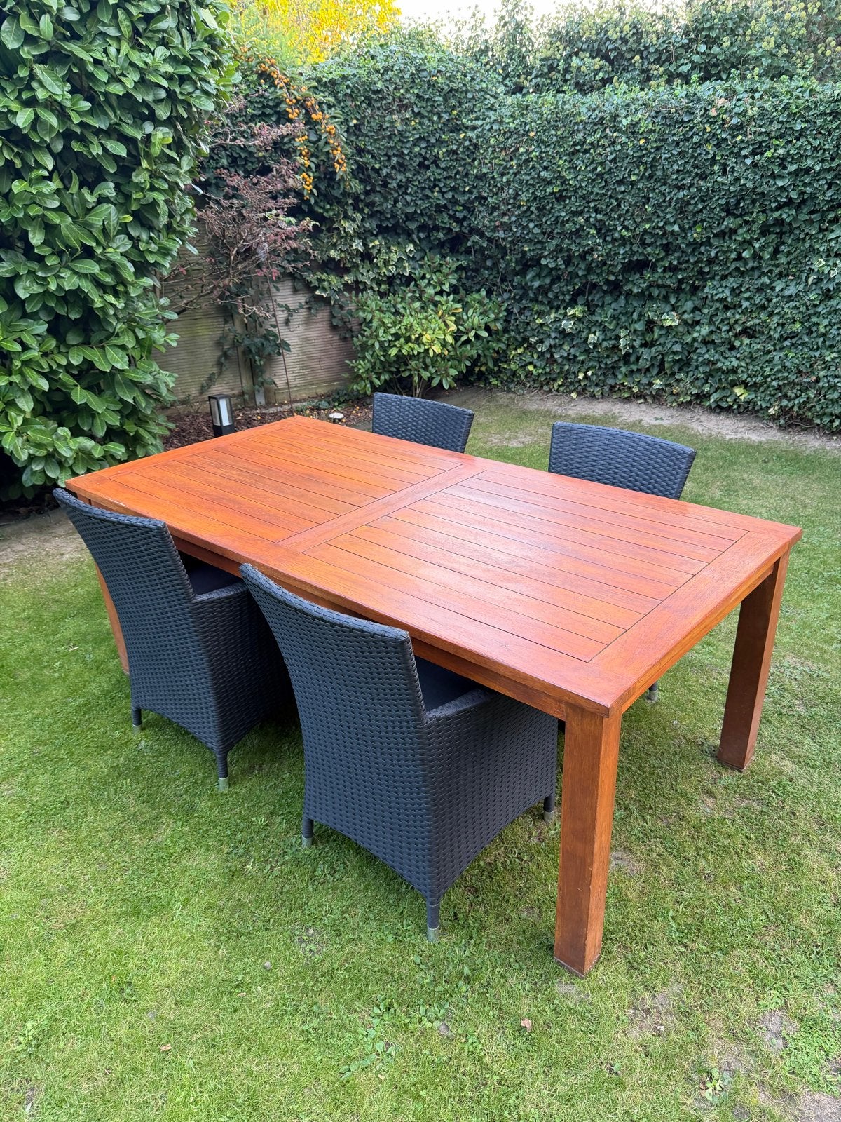 Houten tuintafel met 4 wicker stoelen, Tuin en Terras, Ophalen, Gebruikt, Rechthoekig, Hout