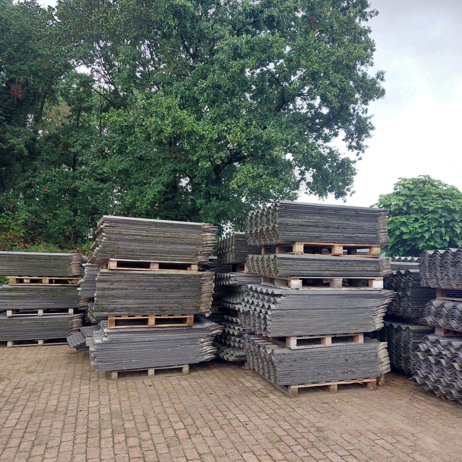 grote partij golfplaten in goede staat, Ophalen of Verzenden, Zwart, 15 m² of meer, Golfplaat