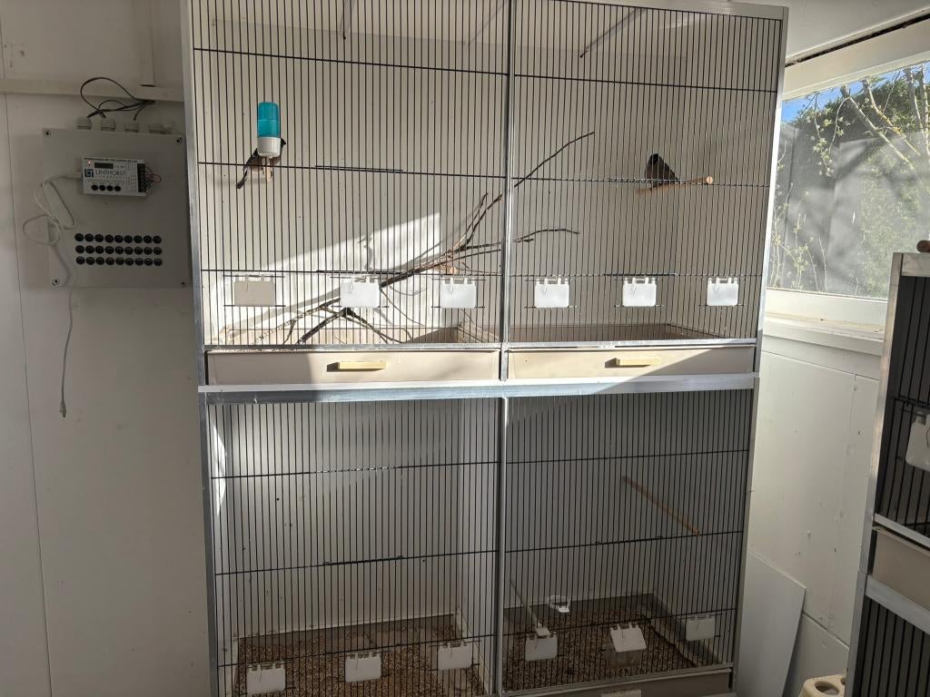 Gehu vluchtkooi, Dieren en Toebehoren, Ophalen, Zo goed als nieuw, Hout, Vogelkooi