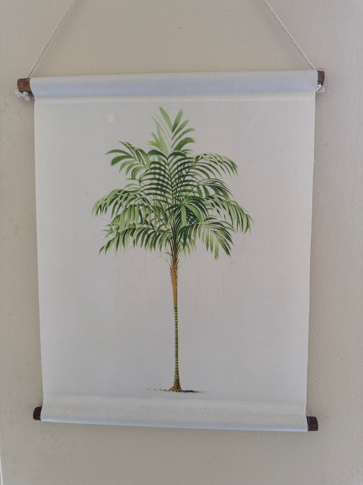 Canvas met palmboom print doek, Minder dan 50 cm, Ophalen of Verzenden, 5 – 50, Print